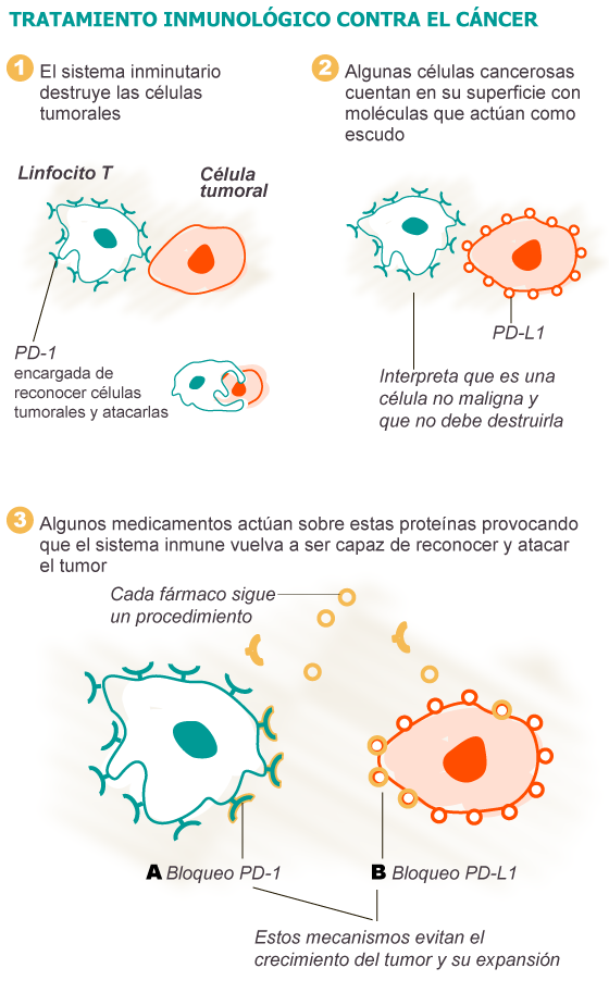 Tratamiento inmunologico contra el cancer